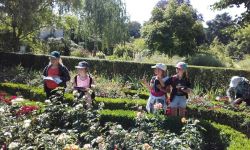 Classe Decouverte Rouen   022